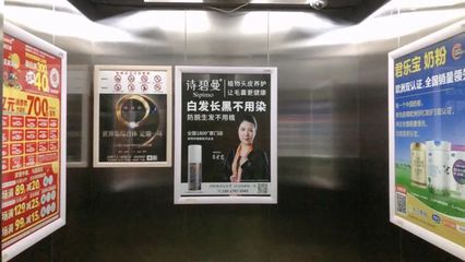 电梯广告扎堆，拓东大成小区业主烦心  “环境被破坏”“投入莫稽主”